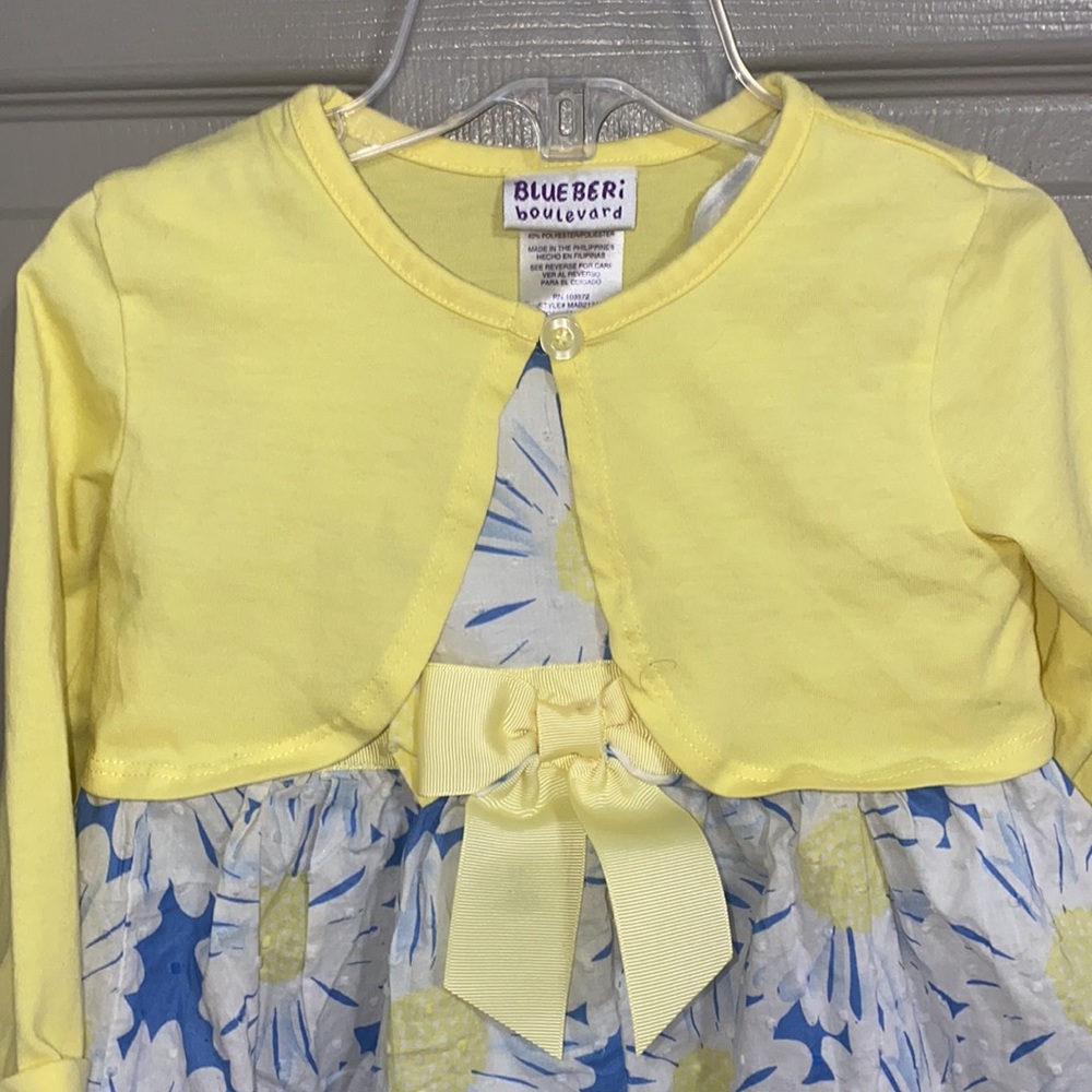 4T Blueberi Blvd daisy dress - Picture 3 of 11